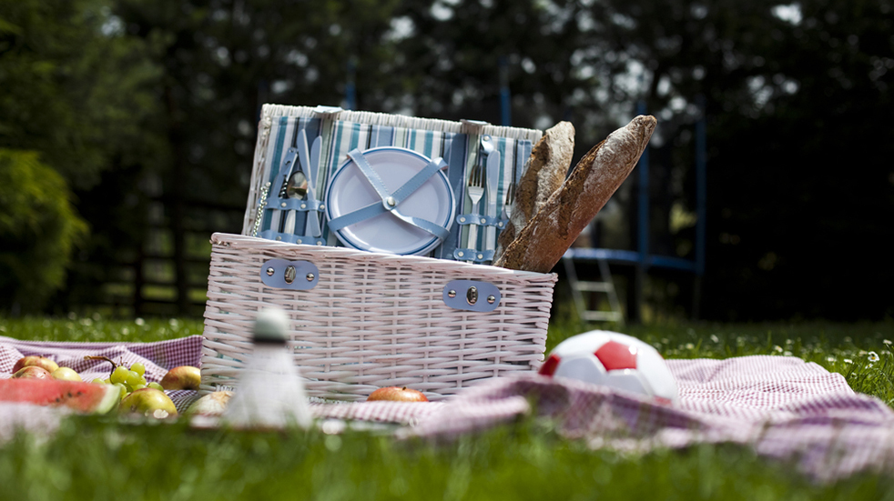 Picnic